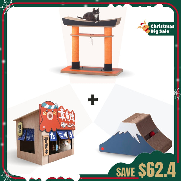 Japanese Style Bundle